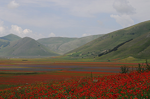 Castelluccio